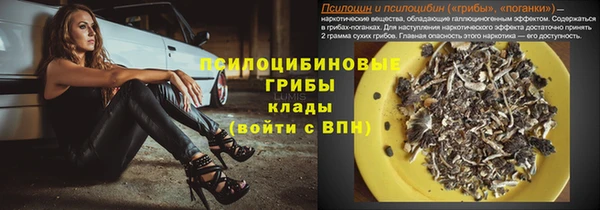прущий лед Алексин
