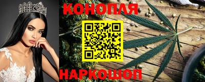 индика Тверь