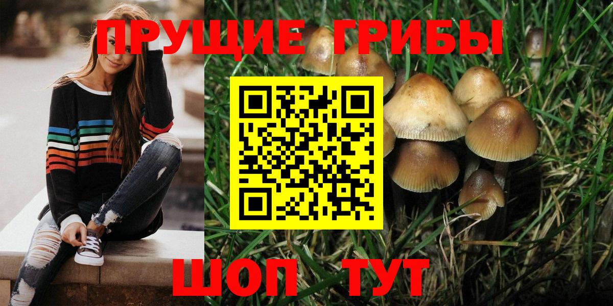 Галлюциногенные грибы GOLDEN TEACHER Салават