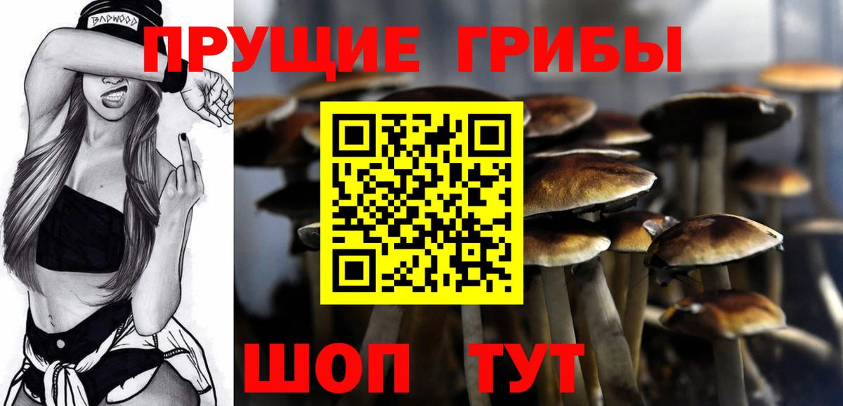 Салават  Псилоцибиновые грибы MAGIC MUSHROOMS  купить наркотик  Вход с VPN 